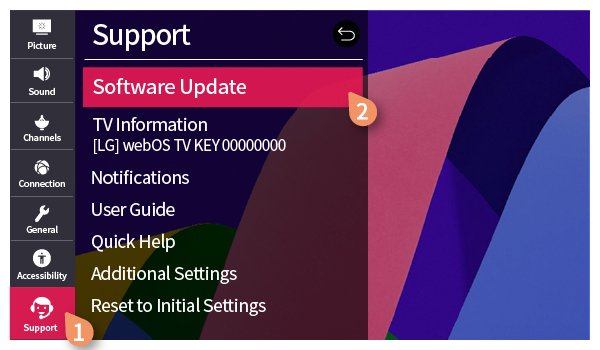 Smart TV Software