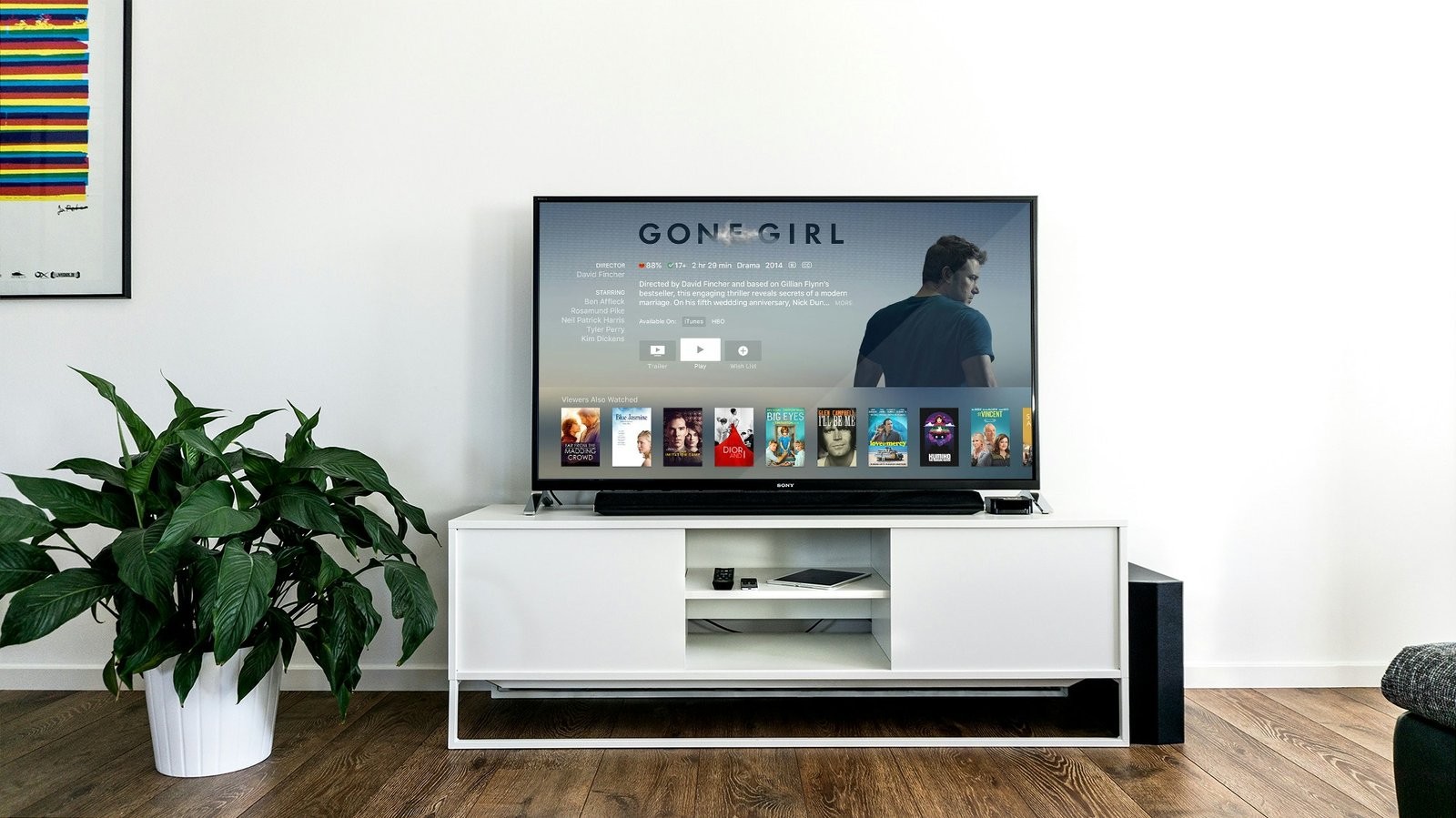 Smart TV Repair